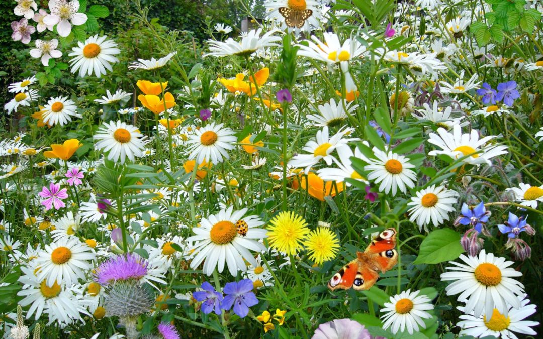 Le 3e Lieu fête le printemps